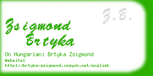 zsigmond brtyka business card